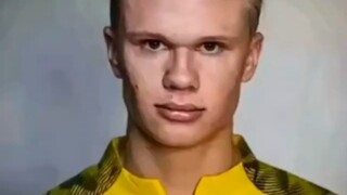 Meme cũ, tư liệu hoa rơi lá rụng