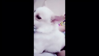 A video for my daughter