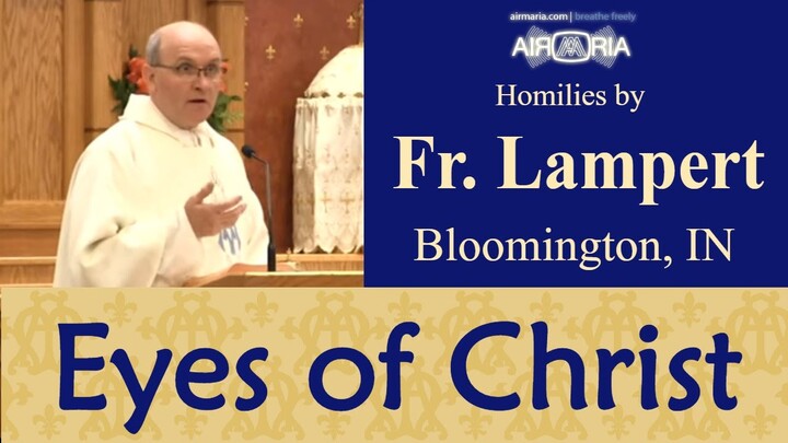 Looking with the Eyes of Christ - Jan 18 - Homily - Fr. Vincent Lampert