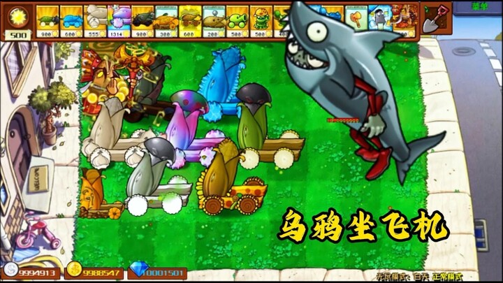 Cá mập khổng lồ ập đến! Đoàn pháo ăn mừng tưng bừng! Lại có vây cá ngon lành để thưởng thức rồi!