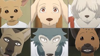 (MAD·AMV) [BEASTARS] หอพักสุนัขต่างก็น่ารักมากๆ เลย！