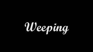 "Weeping" - A Short Minecraft PVP Montage