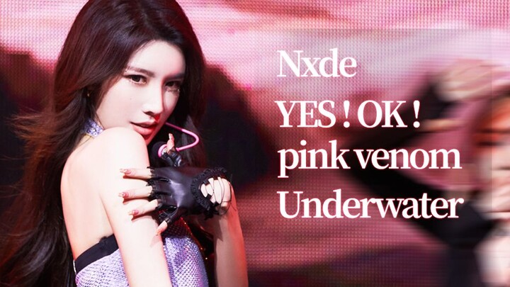 戴燕妮再跳yes!ok!/翻跳Nxde/pink venom/Underwater