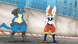 Lucario & Aceburn/Cinderace vs Dageki/Sawk & Nageki/Throh, Lucario & Aceburn Teamwork- Pokemon 2019