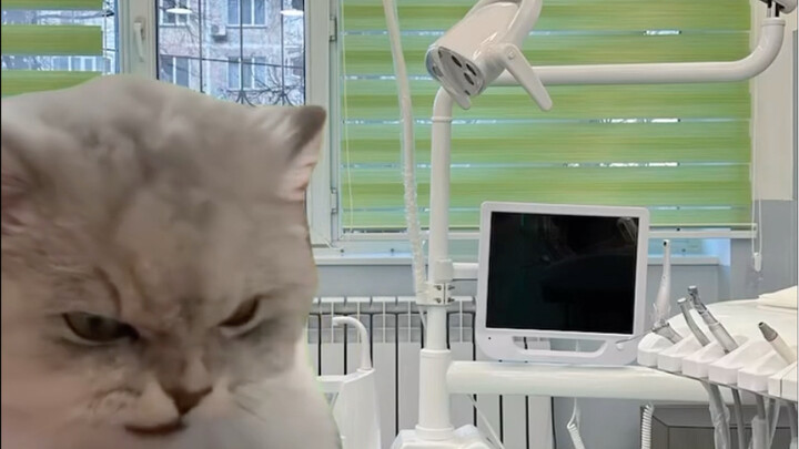 When you’re wondering if that new filling in your tooth is affecting you