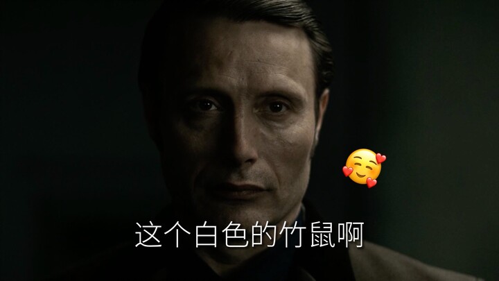 巴 尔 的 摩 竹 鼠 养 殖（内含经验分享）