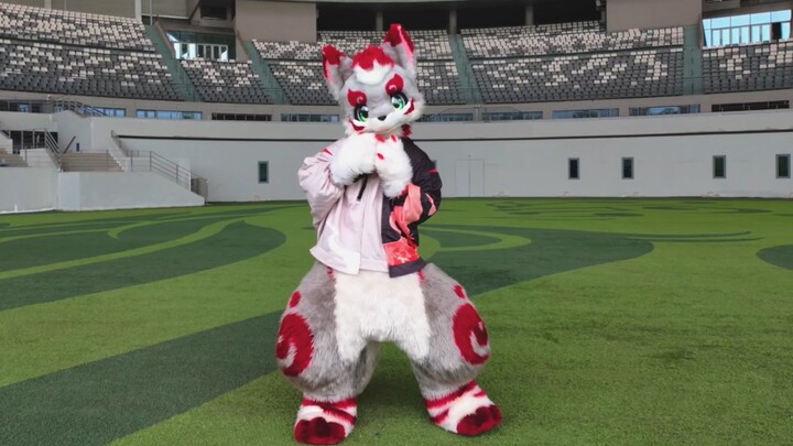 Ketika kamu sangat pandai berputar dan memakai kostum binatang