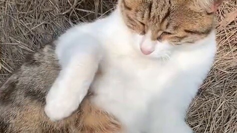 ฉันนอนบนเตียงและเลื่อนดูอัลบั้มรูปและพบว่าฉันลืมโพสต์วิดีโอที่ฉันเคยทำไว้