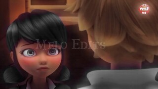 [อนิเมะ] [Ladybug & Cat Noir] เปิดเผย