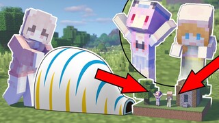 Minecraft but we can enter the mini world!!