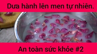 Dưa hành lên men tự nhiên an toàn sức khỏe phần 2