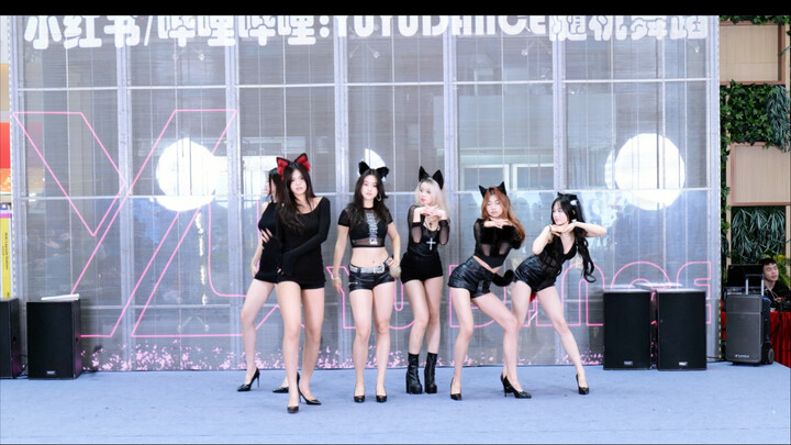 【uniqueC】- ท่าเดินเหมียวๆ สุดน่ารัก AOA สมาชิกทุกคนลุกขึ้นมาเป็นแมว!