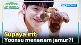 [IND/ENG] Irit apa pelit? Yoonsu bahkan menanam jamur di rumah! | Fun-Staurant | KBS WORLD TV 240422