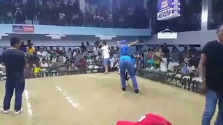 highcalibergray inaction