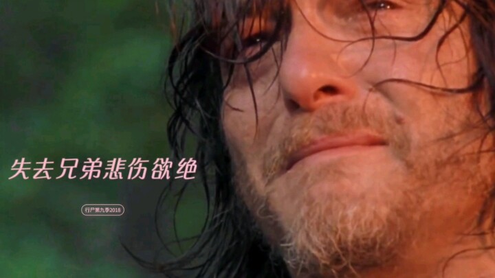 弩哥，已不再是那个抓松鼠的暴躁青年～他老了，可在我们心里的样子像少年初心般美好