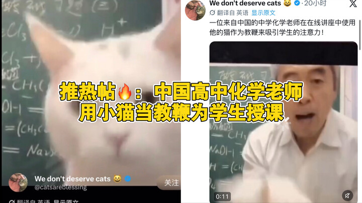 Trending Post: A Chinese high school chemistry teacher uses a kitten as a pointer during class.