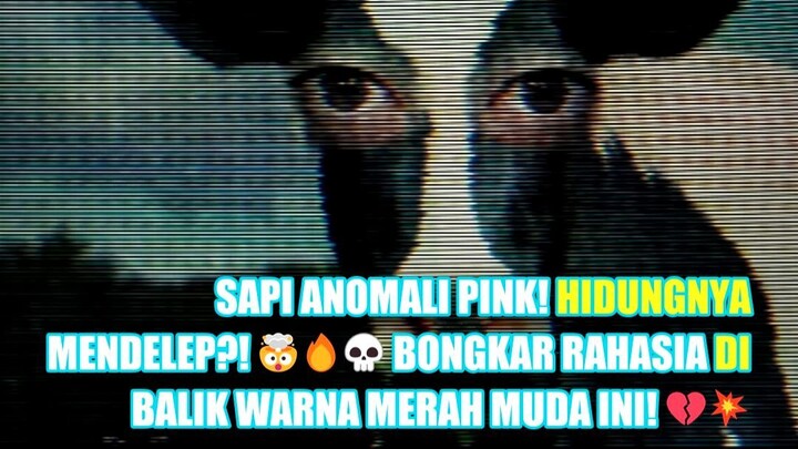 Misi Menjadi Sapi Anomali di Game The Cattle