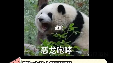 Momen memalukan Bu Hua di media sosial!