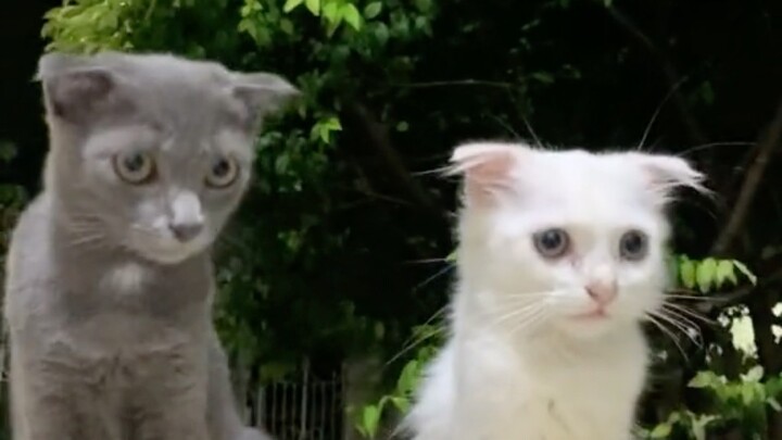 น่ารักอ่ะพี่...