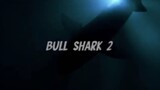 Movie | BULL SHARK