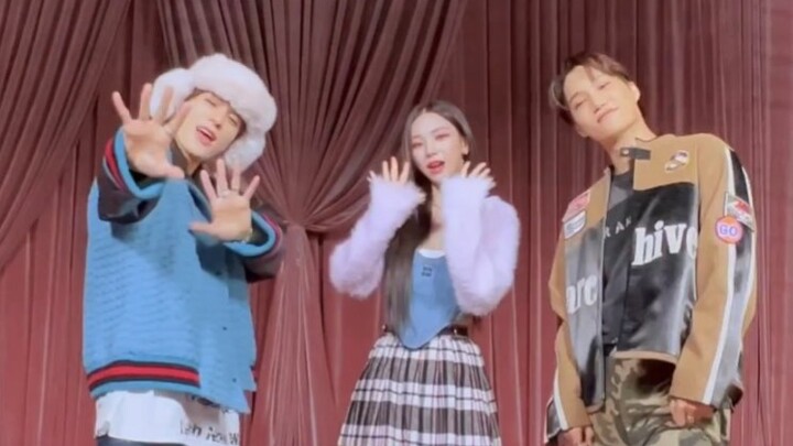 一出现就全都上趋势的舞蹈挑战！！没见过的组合～【柳智敏x李帝努xKAI】