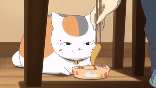 If you don't want to eat, come and see Teacher Cat eating