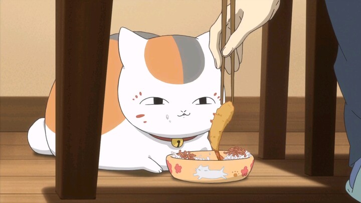 Jika Anda tidak ingin makan, datang dan saksikan Guru Kucing makan.