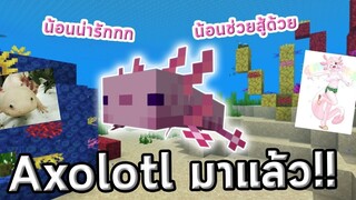 น้อน Axolotl มาแล้ววว | 20w51a | update Minecraft 1.17