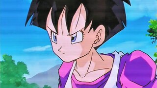 Dragon Ball 192: Videl learns the art of flying, and everyone prepares to participate in the martial