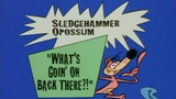 Sledgehammer O'Possum: What's Going on Back There? 1997 S01E42