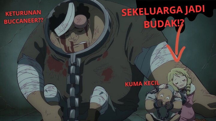 St. Saturn Turun ke Egghead?? Masa Lalu Kuma Dijelaskan! | Review One Piece Eps. 1129