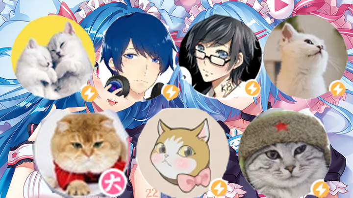 Top 10 famous cat-washing scenes at Station B