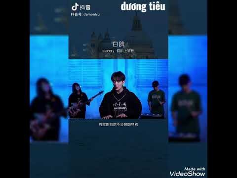 ngô đại lâm cover douyin
