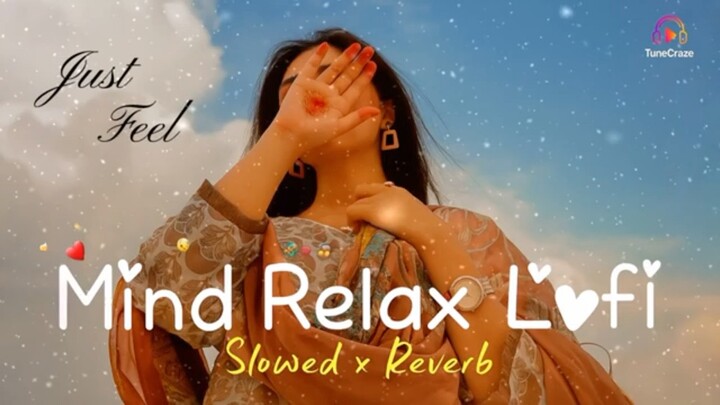 Hindi remix song 2025