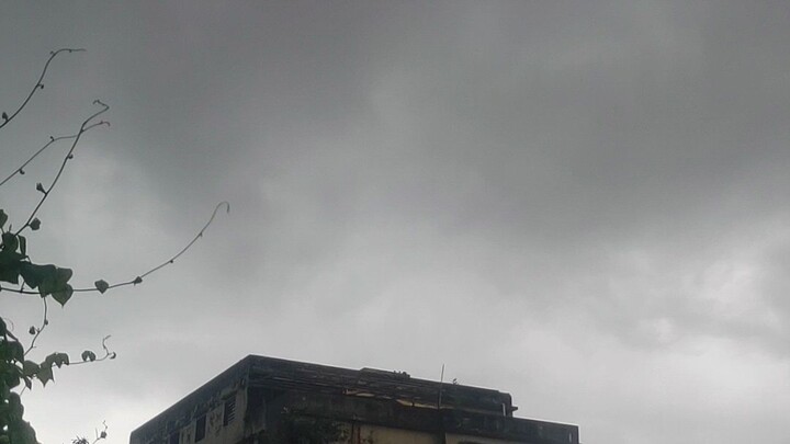wether