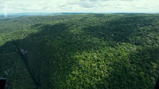 Les secrets des fresques d’Amazonie