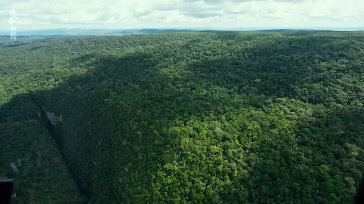 Les secrets des fresques d’Amazonie