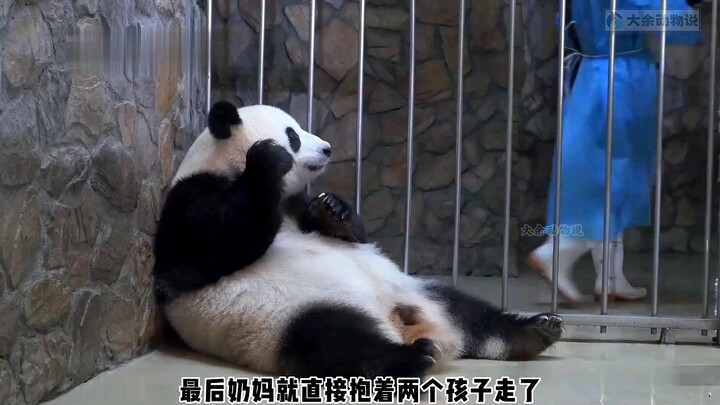 Sungguh menarik melihat gadis kecil itu merawat bayi-bayinya. Ia akan membuang satu jika ia merasa d