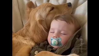 狗狗陪睡员，给足安全感💤