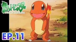 Pokémon the Series: The Beginning | EP.11 Charmander, Pokémon yang Tersesat | Pokémon Indonesia
