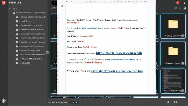 Rachel Pedersen – The Content Domination System