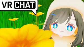 Little Hamster's Great Adventure