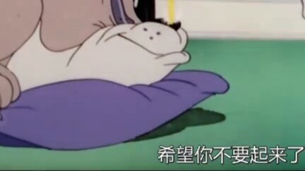 【Debate】Big Blue Cat vs. Talking Tom Cat
