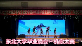 Một con gà xuất hiện tại bữa tiệc tốt nghiệp của trường Đại học Northeastern.
