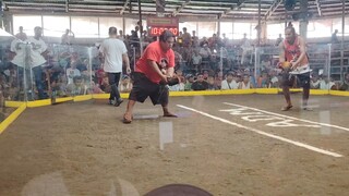 Mclean hatch in action 3x winner