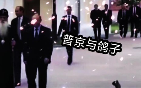 On August 20, 2020, while walking, President Putin encountered a pigeon. As soon as the pigeon saw h