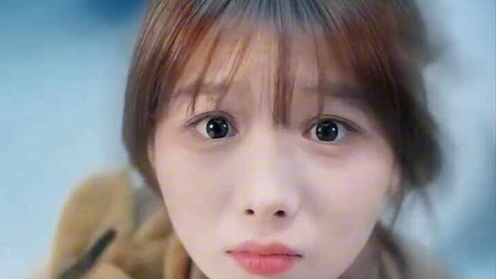 Bảy kiếp luân hồi để tìm mẹ: Từ gián đến mèo bảo vệ, cô con gái của lính cứu hỏa đánh đổi mạng sống 