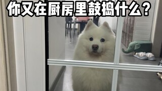深更半夜的你又在厨房里鼓捣什么？