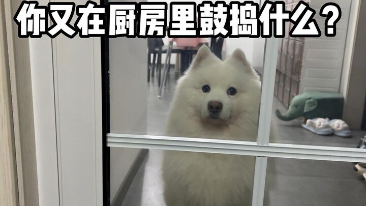 深更半夜的你又在厨房里鼓捣什么？