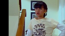 25 Monyet Cantik